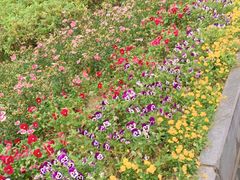 -凯德广场(武胜路店)