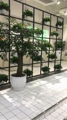 点击看大图 -P.STYLE派斯造型