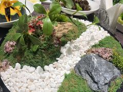 -小天鹅火锅·一线江景洪鼎旗舰店(洪崖洞店)