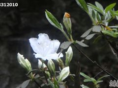 -杭州黄龙洞