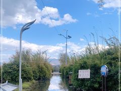 -洱海月湿地公园