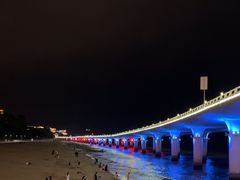 -演武大桥观景平台