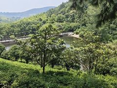 -九龙潭景区