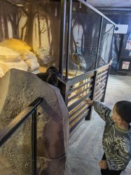 -酷嗒动物文化乐园(cutezoo西溪乐天城店)