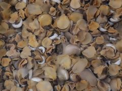 -宾朋海鲜特色美食餐厅·纯手工鲅鱼水饺(兴海路店)