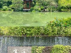 -云溪植物园
