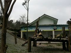 android_upload_pic-碧峰峡风景区