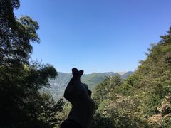 -藏龙百瀑风景区