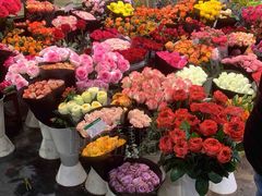 -双季花艺园艺市场(浦东店)