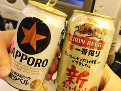 -全日本空输株式会社(上海办事处)