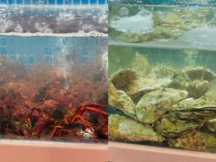 -冶建镜子·老南昌大排档·江西虾王(总店)