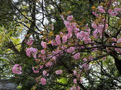 -龙华寺