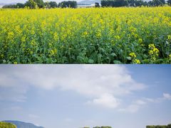 -光明小镇欢乐田园