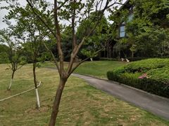 -铁山坪森林公园