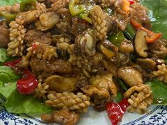 -宝正臻天津包子总店(金阳光居易店)