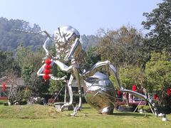 -东南花都花博园