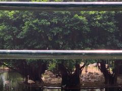 -九龙公园