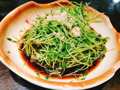 豉油豆苗-阿财老铺·老蚌埠龙虾城(华夏总店)