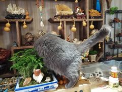 -Rabbit Cafe私房西餐甜点咖啡(栖霞路店)