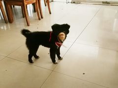 -自贡馆老字号(青江东路店)