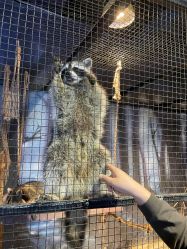 -酷嗒动物文化乐园(cutezoo西溪乐天城店)