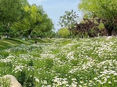 -汉长安城未央宫国家考古遗址公园