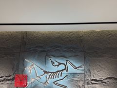 -ARC'TERYX始祖鸟(北京王府中环店)