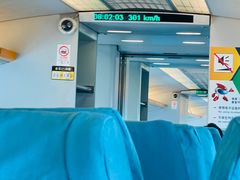 -龙阳路磁悬浮列车总站-停车场