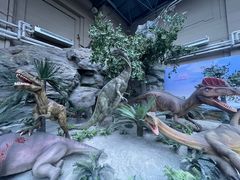 -国家自然博物馆