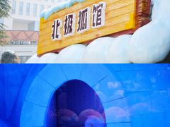 -海合安成都极地海洋公园