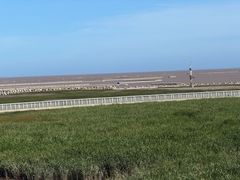 -南汇嘴观海公园