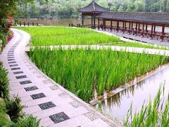 iphone_upload_pic-瞰胜楼