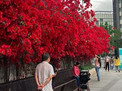 -有红鸡毛店·川菜(建设路店)