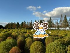 -嘉北郊野公园