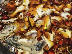 -金三可市井水煮鱼(金碧园店)