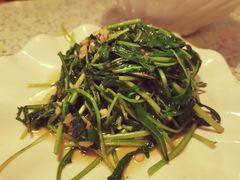 -文三里屯面馆(三里屯店)