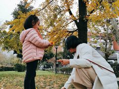 -四川大学(望江校区)