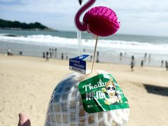 -青澳湾北回归线广场