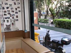 -瑞派中心宠物医院·CT·核磁·神经专科