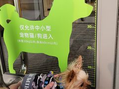 -哈根达斯(青岛海信店)