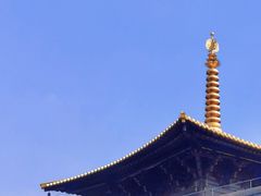 -广富林郊野公园