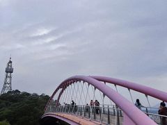 -金鸡山公园