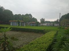 -洪湖家庭农场·团建·露营·会议