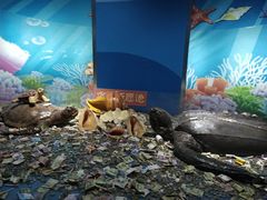 -苏州海洋馆