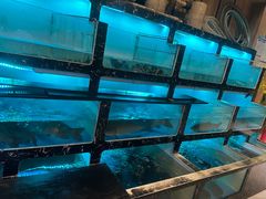 -草鱼先生潮州鱼生·虾生(新厦花园店)