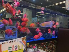 -新辉港式茶餐厅(北栅店)