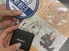 -Sony Store索尼(广州正佳店)