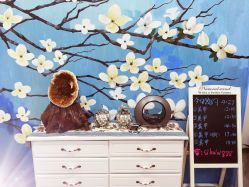 -scarlet斯卡莱美容护理机构