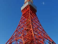 -东京塔海贼王主题公园