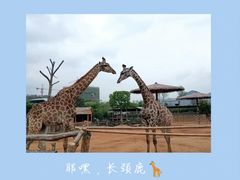 -杭州野生动物世界